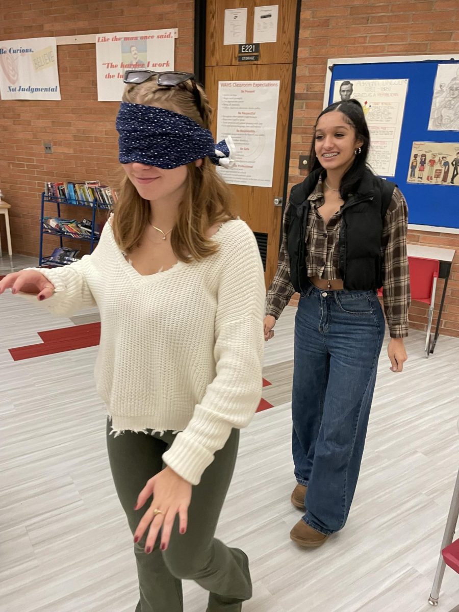 Students experiment with perception in psychology class