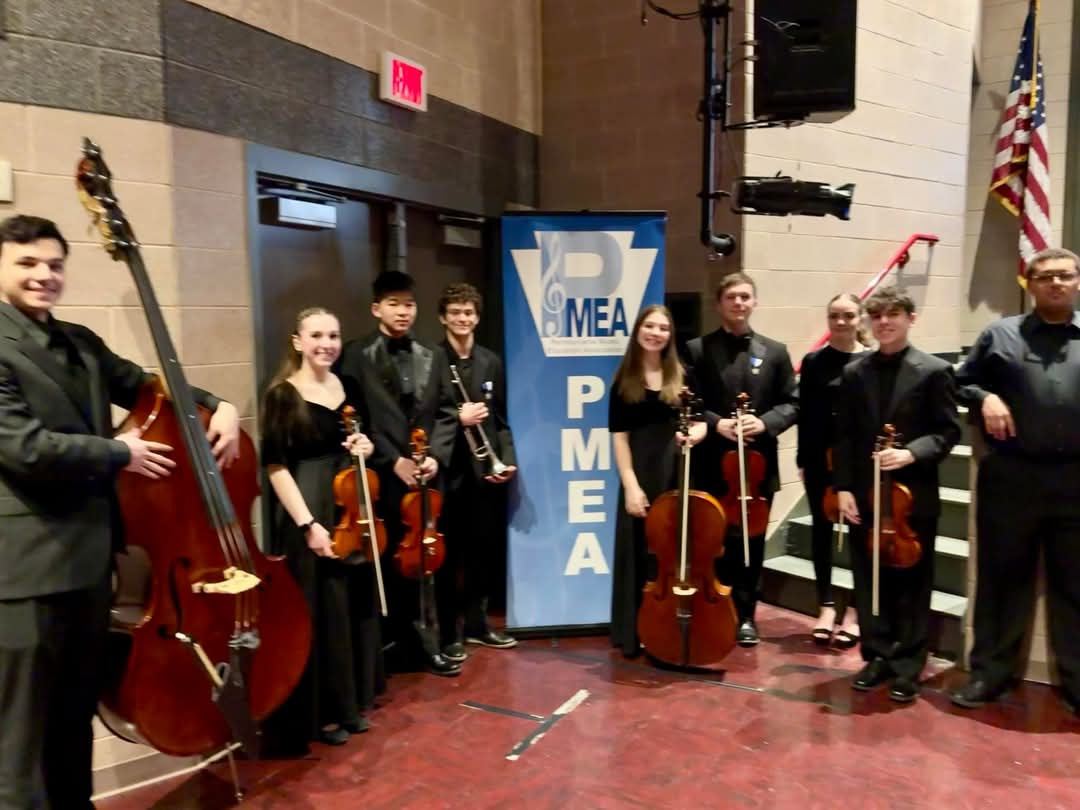 Nine WAHS students perform at Regional Orchestra